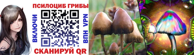 Галлюциногенные грибы GOLDEN TEACHER  blacksprut онион  Вяземский 